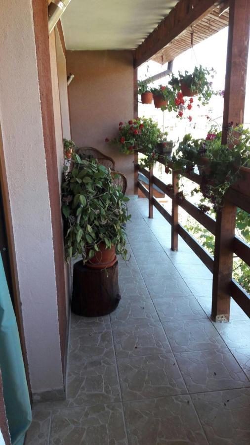 Casa Elena Eselnita Hotel Exterior foto